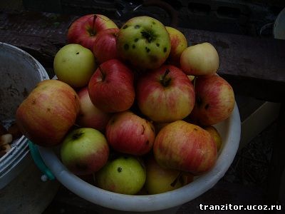 Соковыжималка своими руками