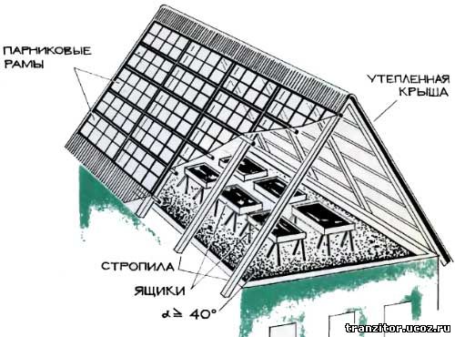 Теплица на чердаке