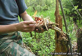 Трухлявые стволы и пни - растопочный материал, который вспыхивает с первой спички