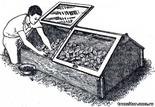 Теплица без единого гвоздя