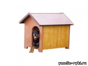 Как сделать собачью будку?