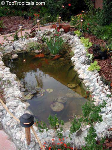 Исскуственный водоем