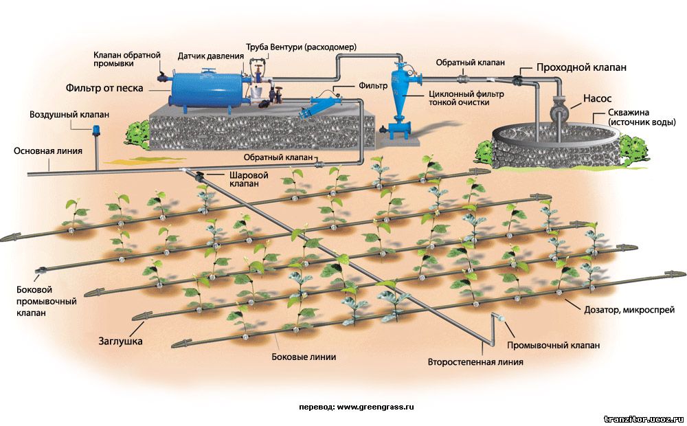 капельный полив схема