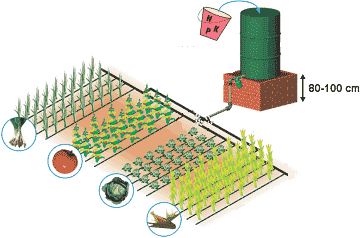 Капельное орошение на грунтах