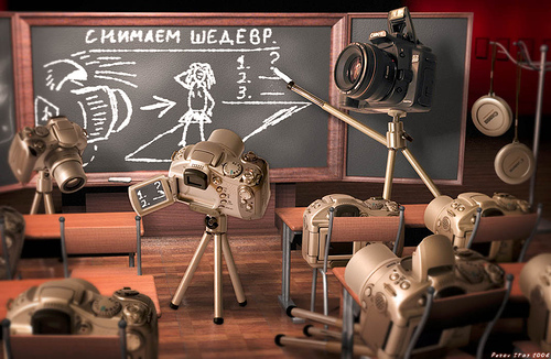 Основы фотографирования