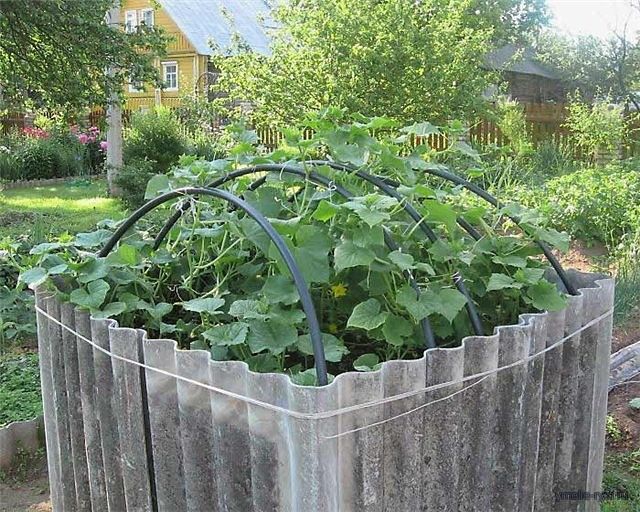 Дачникам на заметку. Куб для огурцов