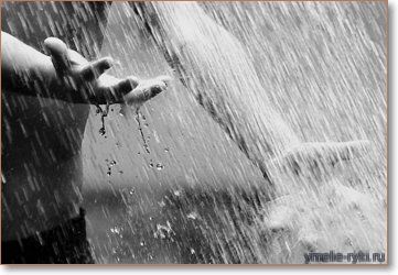 Несколько фактов о дожде